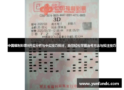 中国福利彩票8开奖分析与中奖技巧探讨，助您轻松掌握选号方法与投注技巧